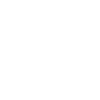 snare